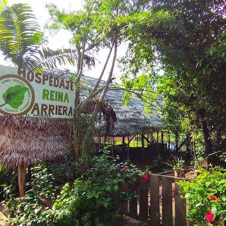 Hospedaje Y Tours Reina Arriera Amazonas Colombia Macedonia Екстериор снимка