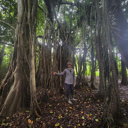 Hospedaje Y Tours Reina Arriera Amazonas Colombia Macedonia Екстериор снимка