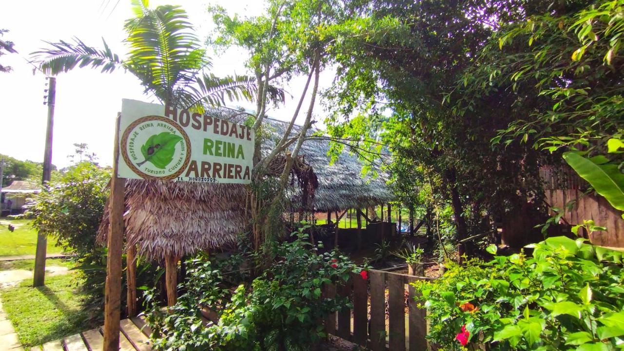 Hospedaje Y Tours Reina Arriera Amazonas Colombia Macedonia Екстериор снимка