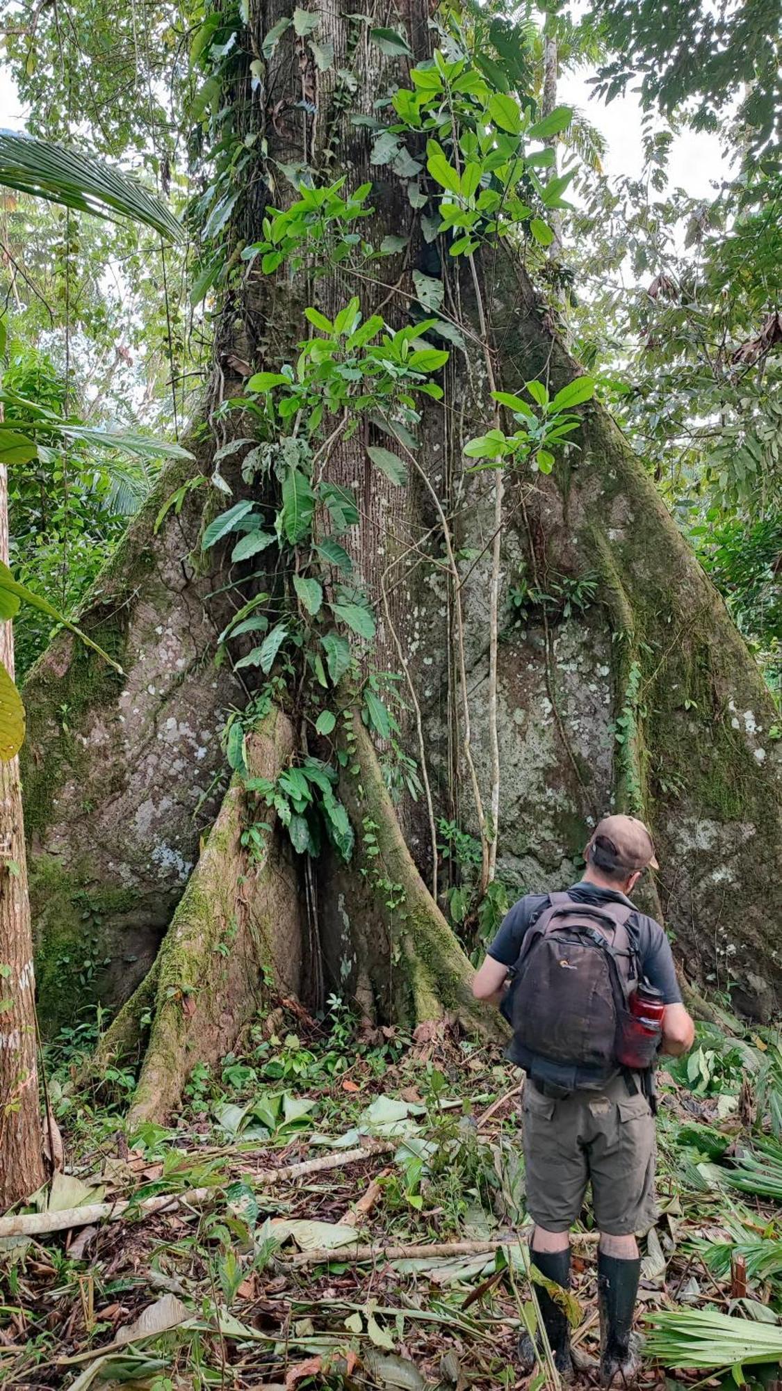Hospedaje Y Tours Reina Arriera Amazonas Colombia Macedonia Екстериор снимка