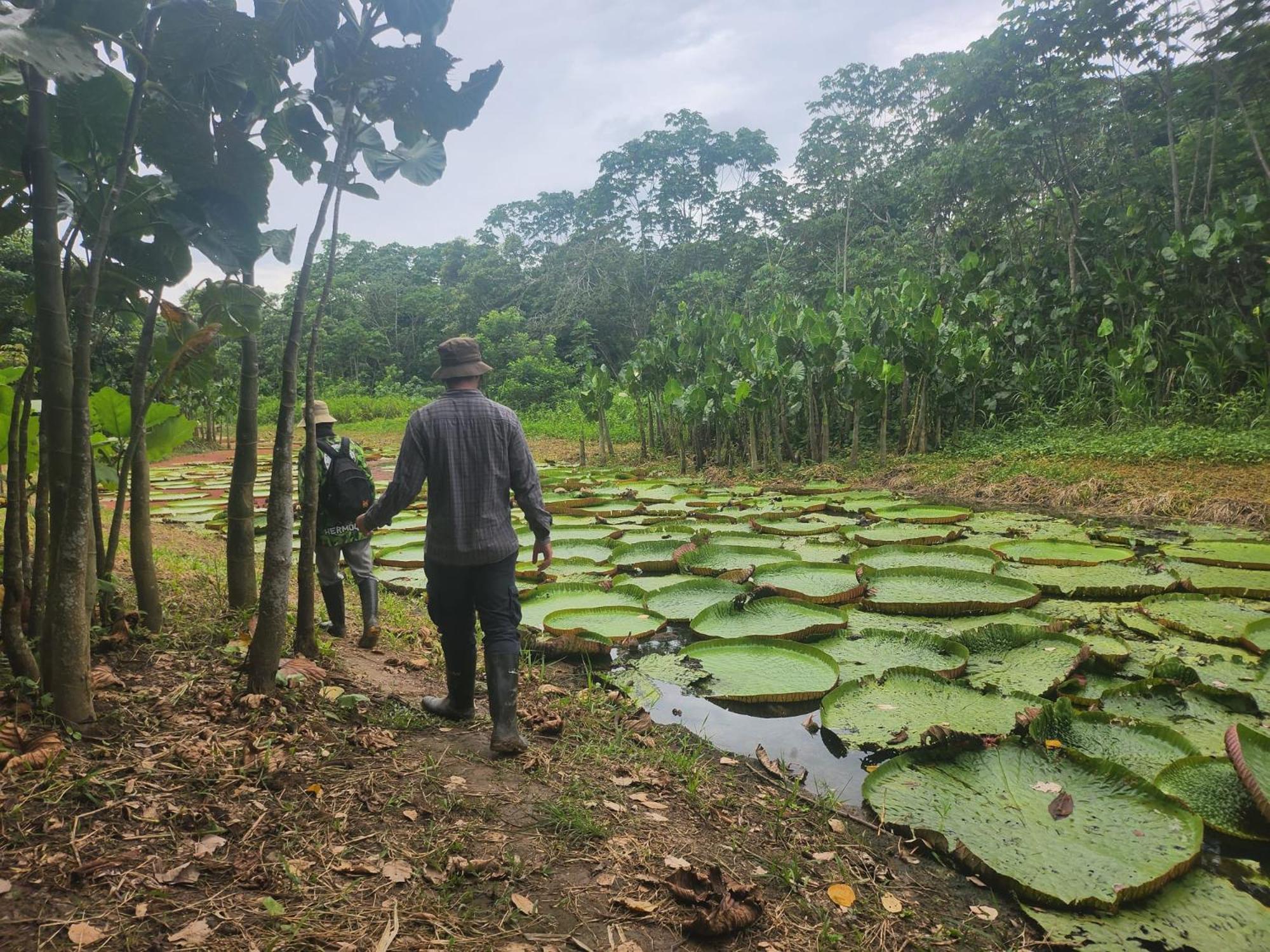 Hospedaje Y Tours Reina Arriera Amazonas Colombia Macedonia Екстериор снимка