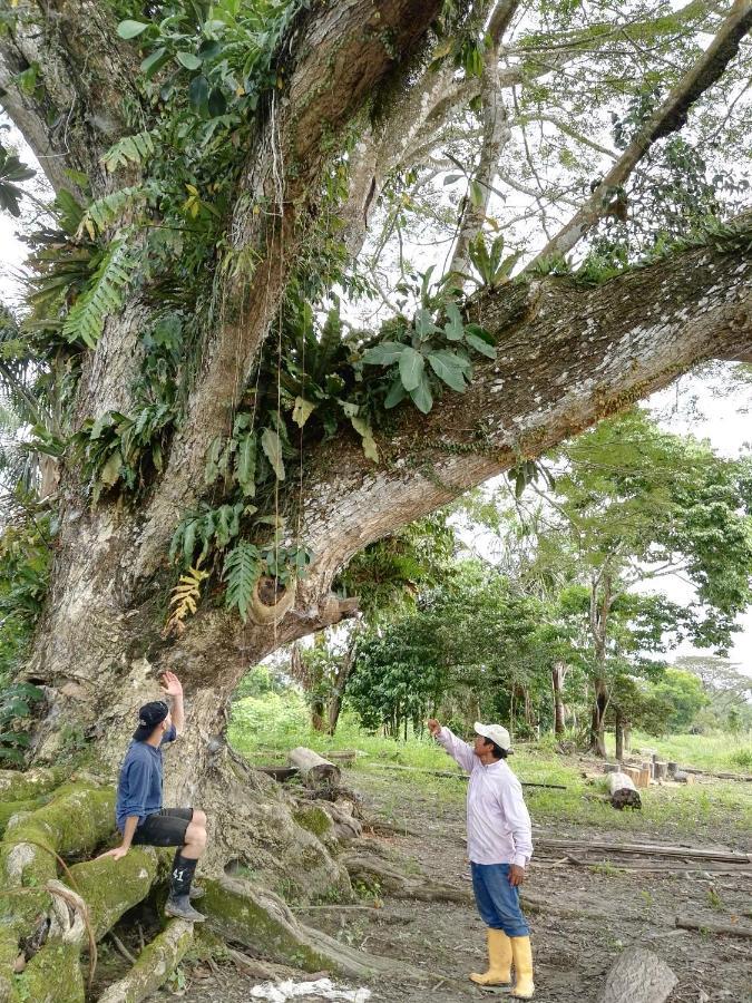Hospedaje Y Tours Reina Arriera Amazonas Colombia Macedonia Екстериор снимка